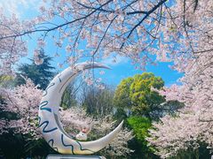 -杭州少年儿童公园
