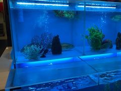 -怡咖啡·自助餐·西安香格里拉