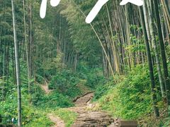 -五泄景区