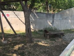 -石家庄市动物园