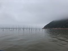 -北岐滩涂
