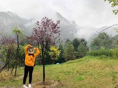 -终南山国家森林公园