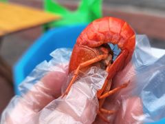 -隆康社长沙烧烤铺(桔园店)