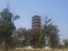 -葛仙湖公园