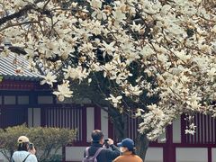 -大慈恩寺(大雁塔)