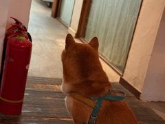 -三目仓咖啡(贤南路店)