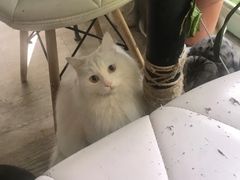-小时光咖啡馆(北锣鼓巷店)