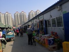 -何庄子阿米玛玛农产品批发市场