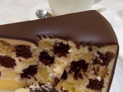 -Lady M(沙田新城市广场店)