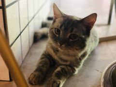 -有何Book(六堰体育馆店)