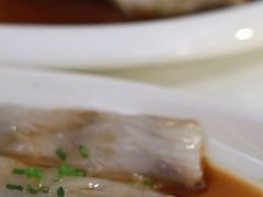 -云中小雅