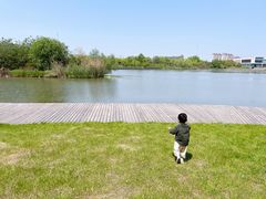 -九里河湿地公园