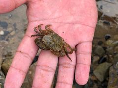 -青岛银沙滩