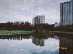 -青城公园
