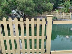 -广东惠东海龟国家级自然保护区