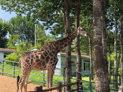 -大连森林动物园