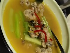鲜花椒泡菜煮牛蛙-梧桐