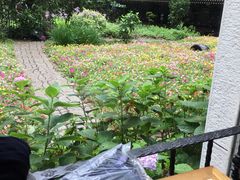 -上海老站(徐家汇店)