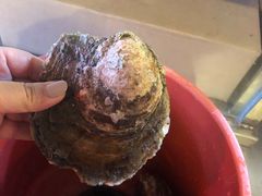 -灯笼馆海鲜餐厅