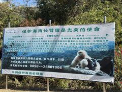 -霸王岭国家森林公园
