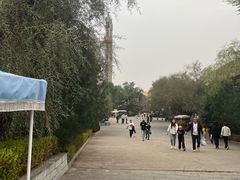 -太阳部落