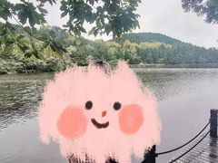 -庐山风景区花径公园