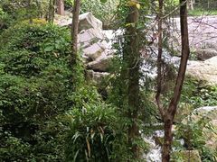 -刘伯温故里景区百丈漈