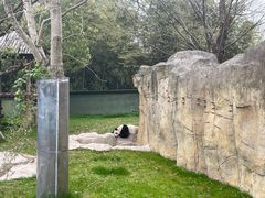 -上海野生动物园