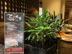 -桃源春晓中餐厅 TaoYuan Restaurant