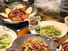 -洛阳市牡丹公园