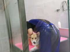 -宠福鑫康馨动物医院·骨科·眼科