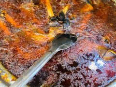 -百年吾吾子手抓肉羊羔肉(山西巷店)