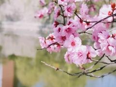 -曲阜师范大学(曲阜校区)