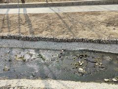 -白水寺森林公园