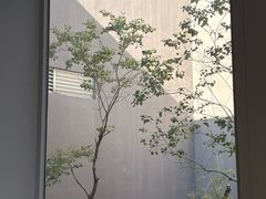 -大芬美术馆