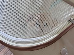 -中农大我爱我爱24h动物医院·中医针灸·猫专科·骨科医疗中心(双井店)
