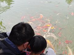 -宝岩生态观光园