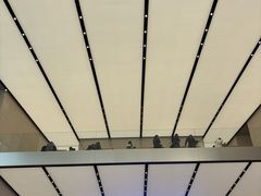 -Apple零售店(苏州店)