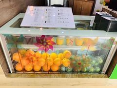 -黑龙茶HEYLONGCHA