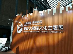 -西安大唐西市博物馆