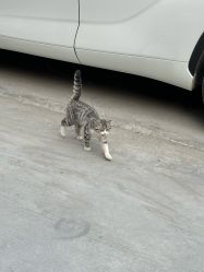 -莫莉幻想儿童乐园(北京丰台永旺店)