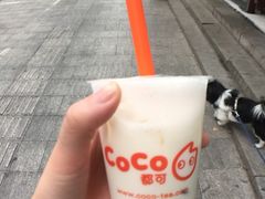-CoCo都可(十全东店)