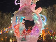 -淄博花灯齐彩城