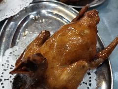 -南海鸽天下(肇庆店)