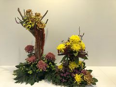 -共青国家森林公园-售票处
