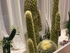 -悦海·家宴·冰花皮皮虾大锅贴(宝龙店)