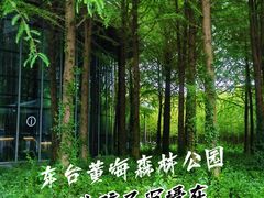 -黄海国家森林公园