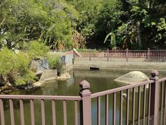 -广东惠东海龟国家级自然保护区