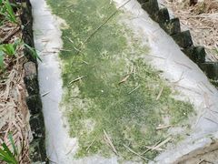 -青瓦房古村落