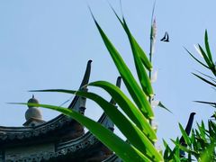 -韩湘水博园